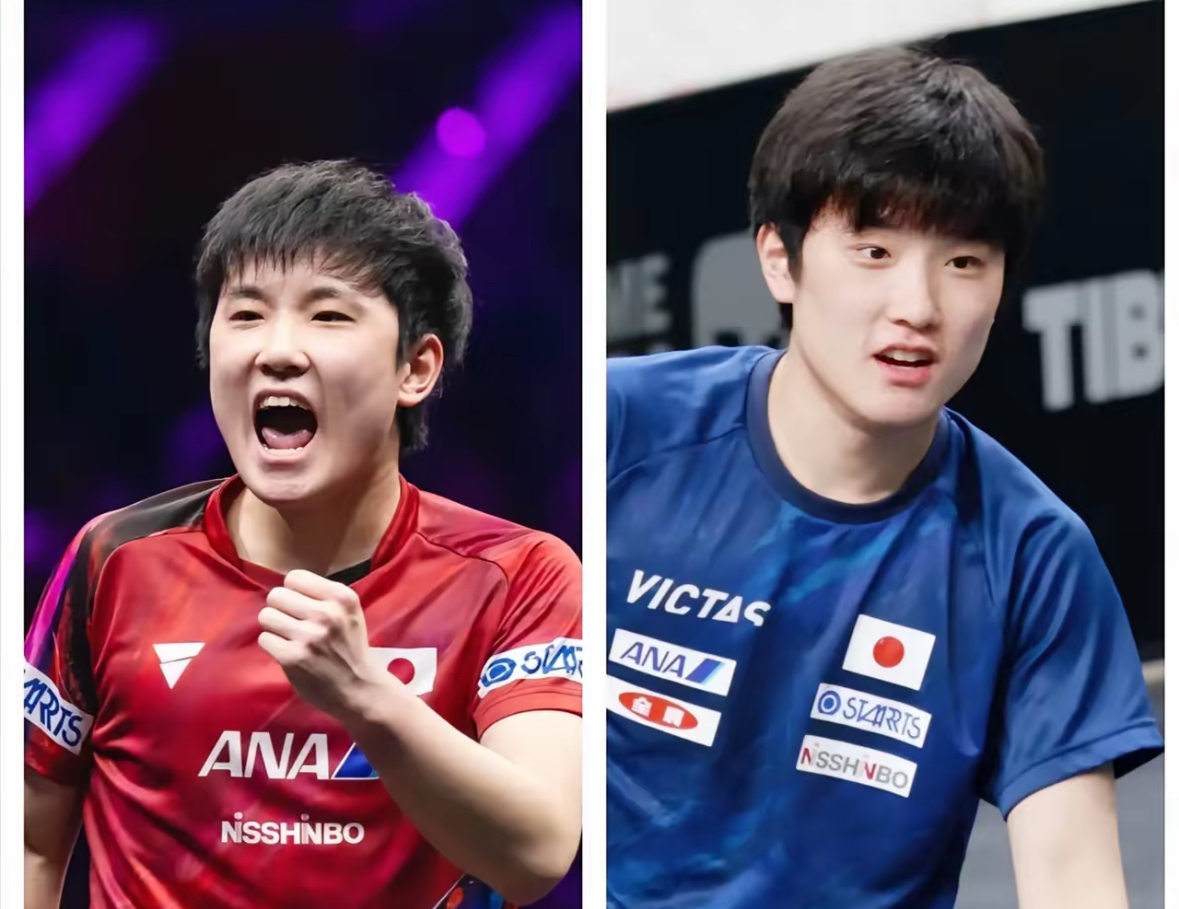 开云体育入口-包含奥地利队完胜法国队，张本智和关键制胜的词条