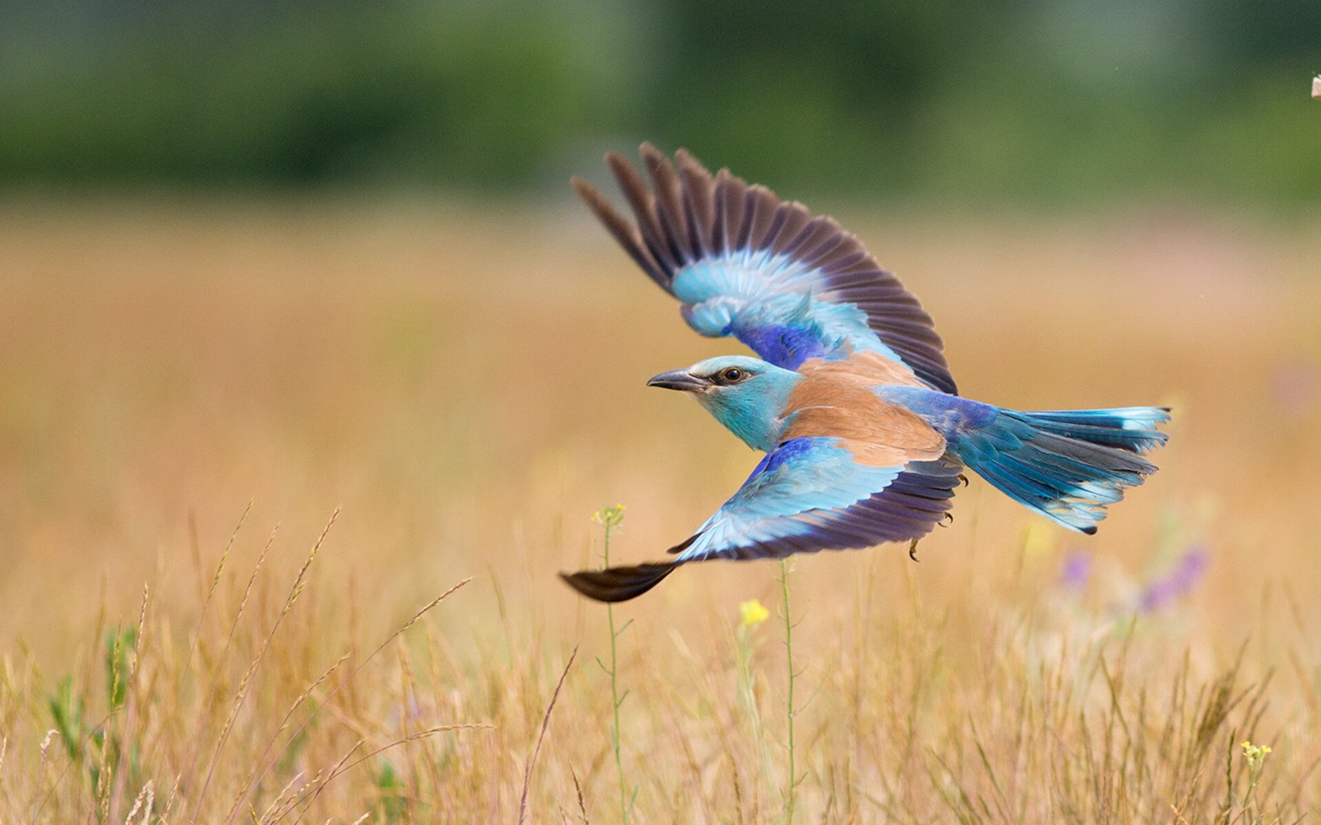 开云体育-团队机器对阵超级巨星，德国全面压制克罗地亚，姆巴佩却打出统治级数据