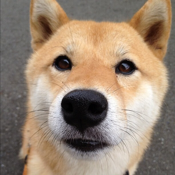 开云体育官网-那道无解的方程式，当那不勒斯的布鲁诺成为尤文的永恒梦魇