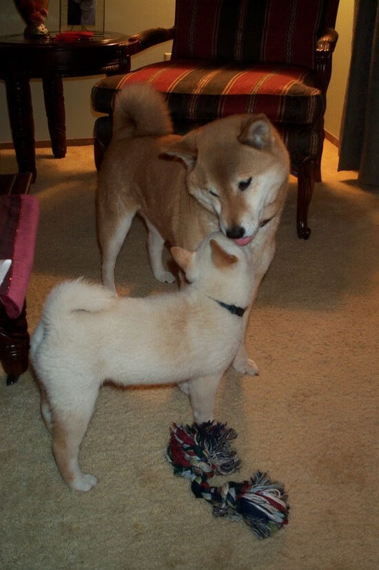 开云体育APP下载-孤星破铁幕，奥亚尔萨瓦尔如何在马赛的战术牢笼中点亮卡塔尔之夜