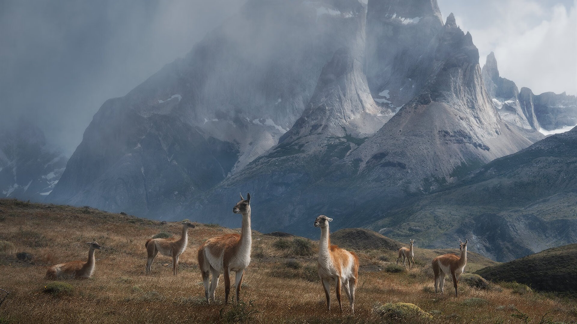 惊天冷门背后，小贾伦的北京一夜与跨越文化的篮球艺术
