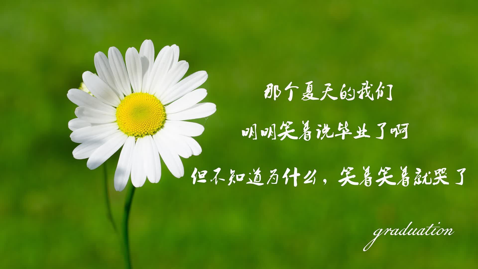 开云体育入口-一球定乾坤，斯洛伐克绝杀克罗地亚，B费主导世界杯头名之争焦点战