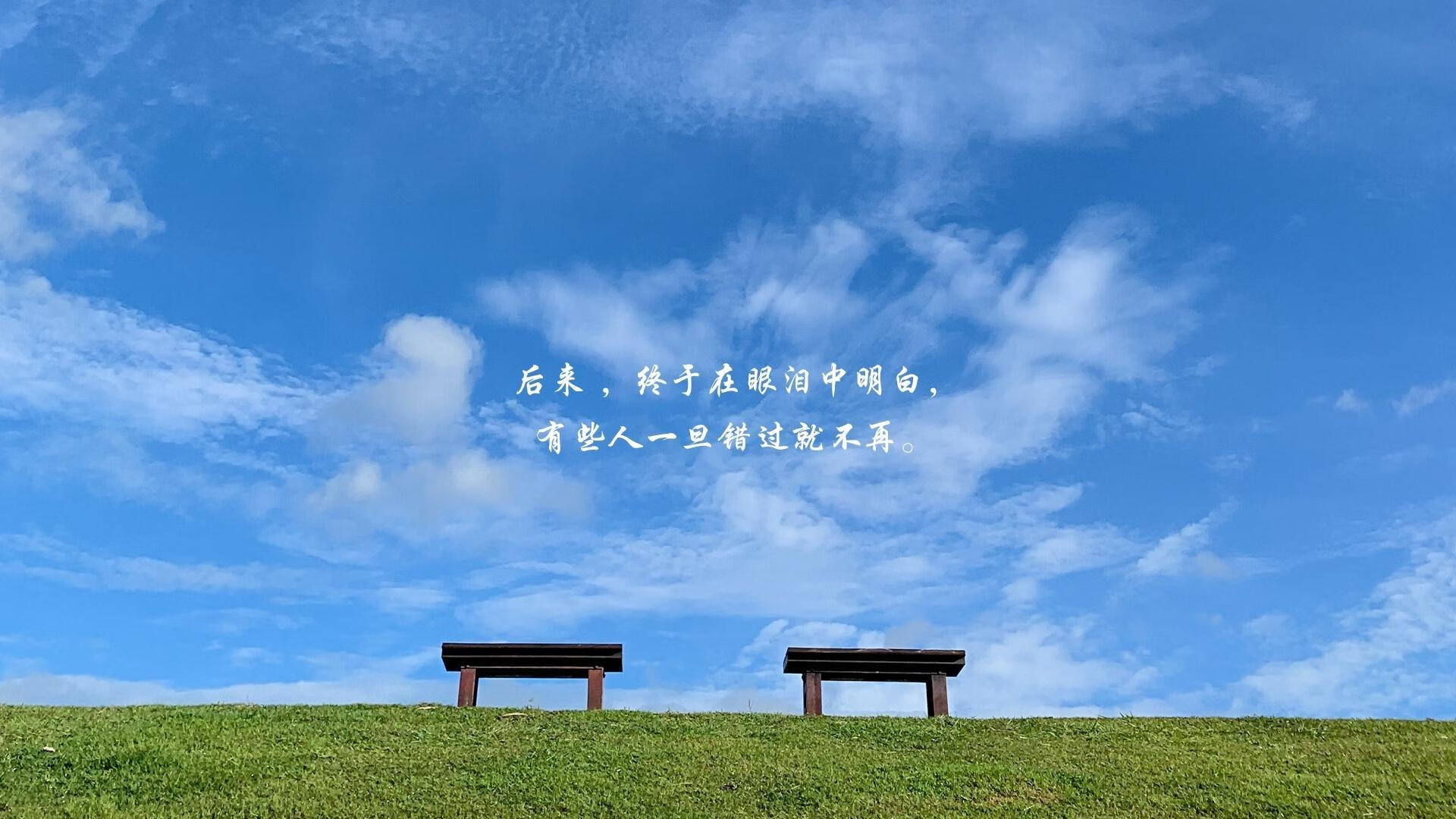 唯一性的荣耀，当匈牙利在2026世界杯C组焦点战中完胜德国，吉鲁掌控全场